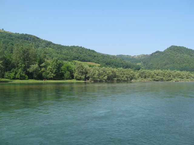 Drina