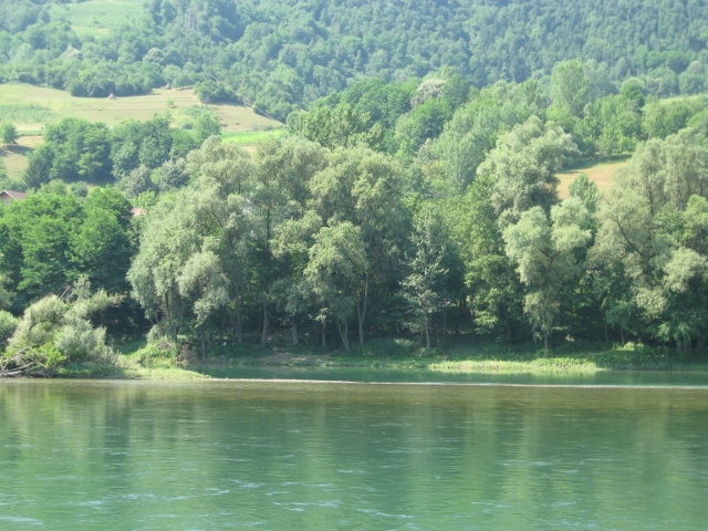 drina Zelenika