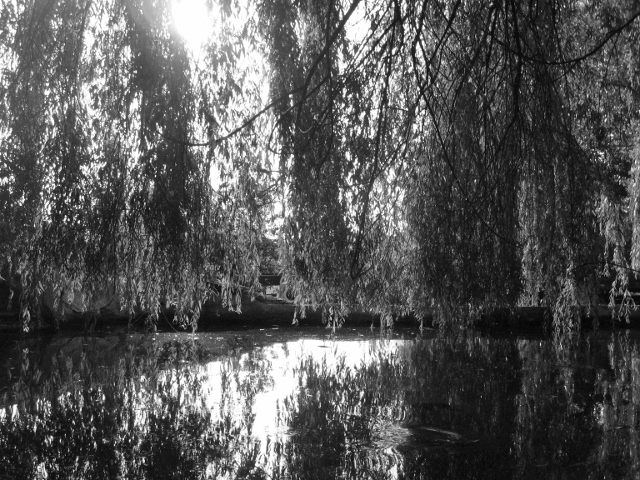 drina